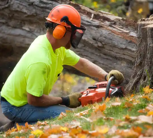 tree services Wyandanch